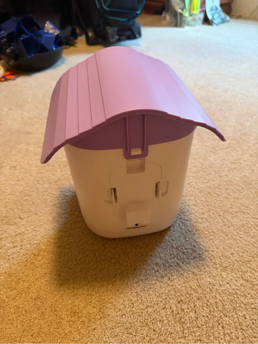 Bird Feeder Camera with Purple Roof